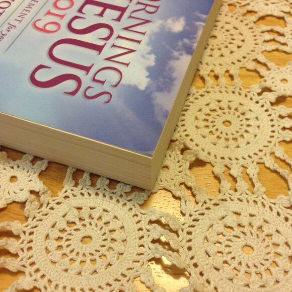 3 for $10 book sale! Bible Devotionals, Mornings with Jesus 2019 - Picture 7 of 7